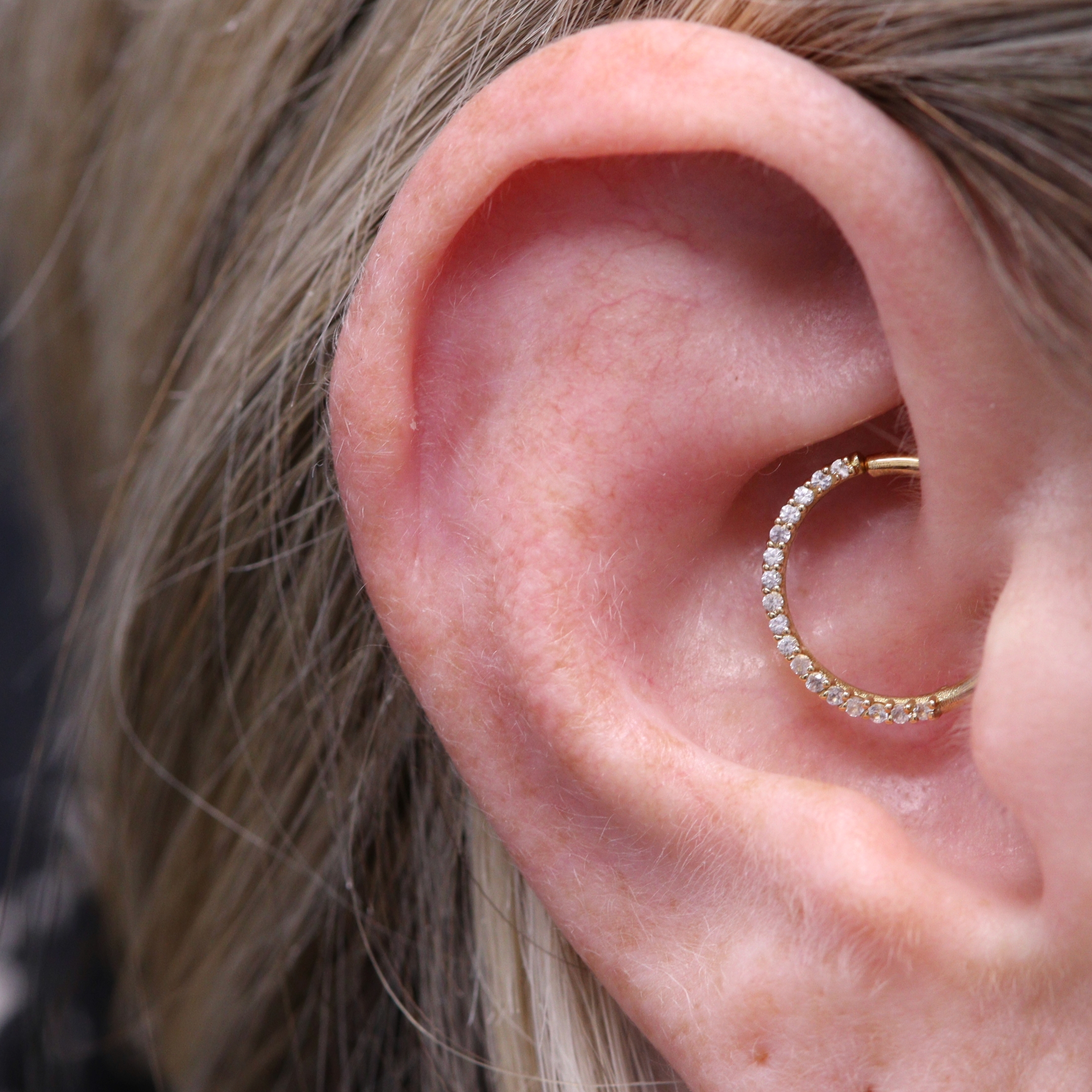 Daith Piercing with a Suspiria from Ixus Fine Jewellery in 18k yellow gold with 1mm pave moissanite stones