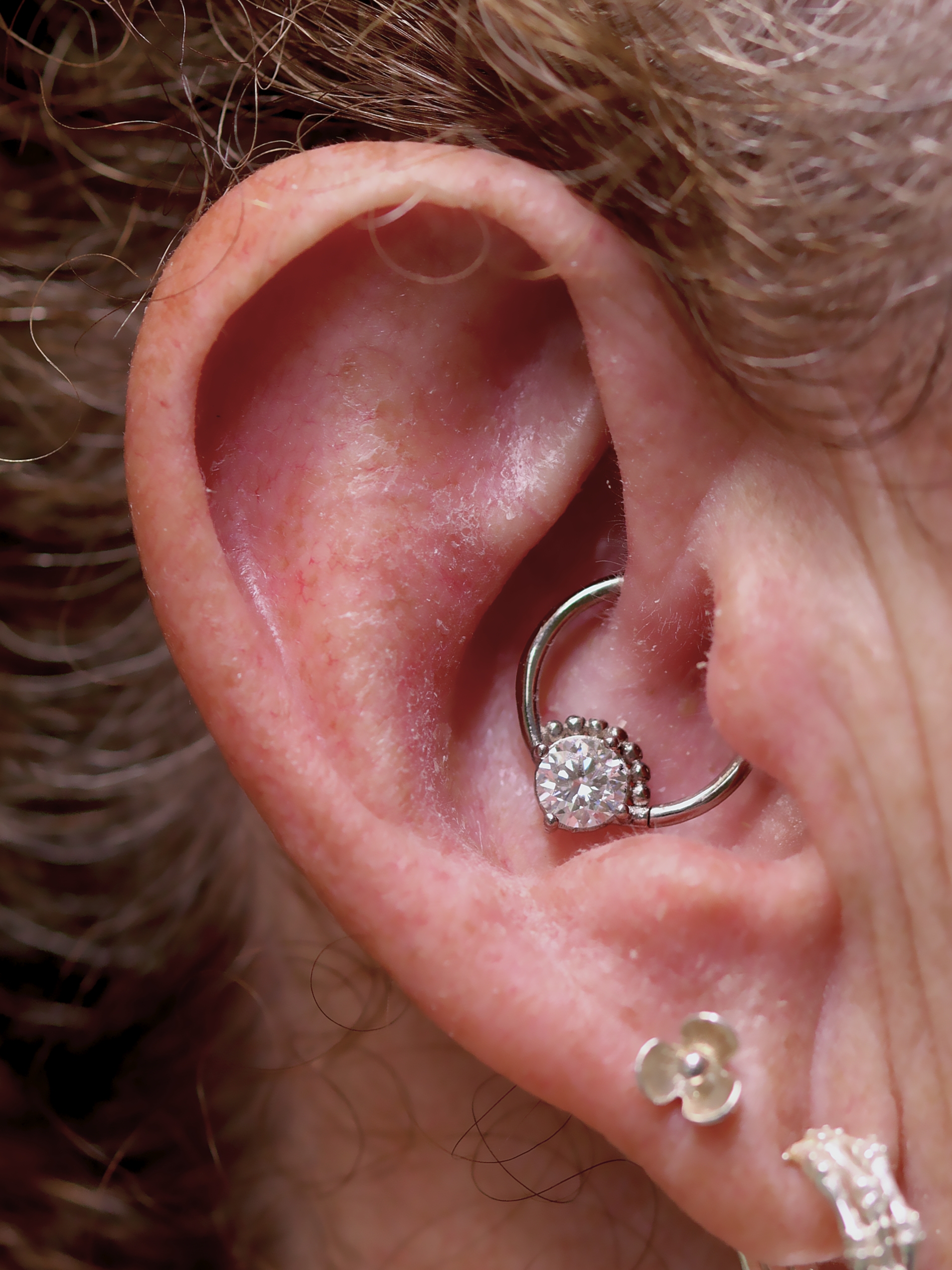 Daith piercin with 18k white gold Tenebre ring from Ixus find jewellery