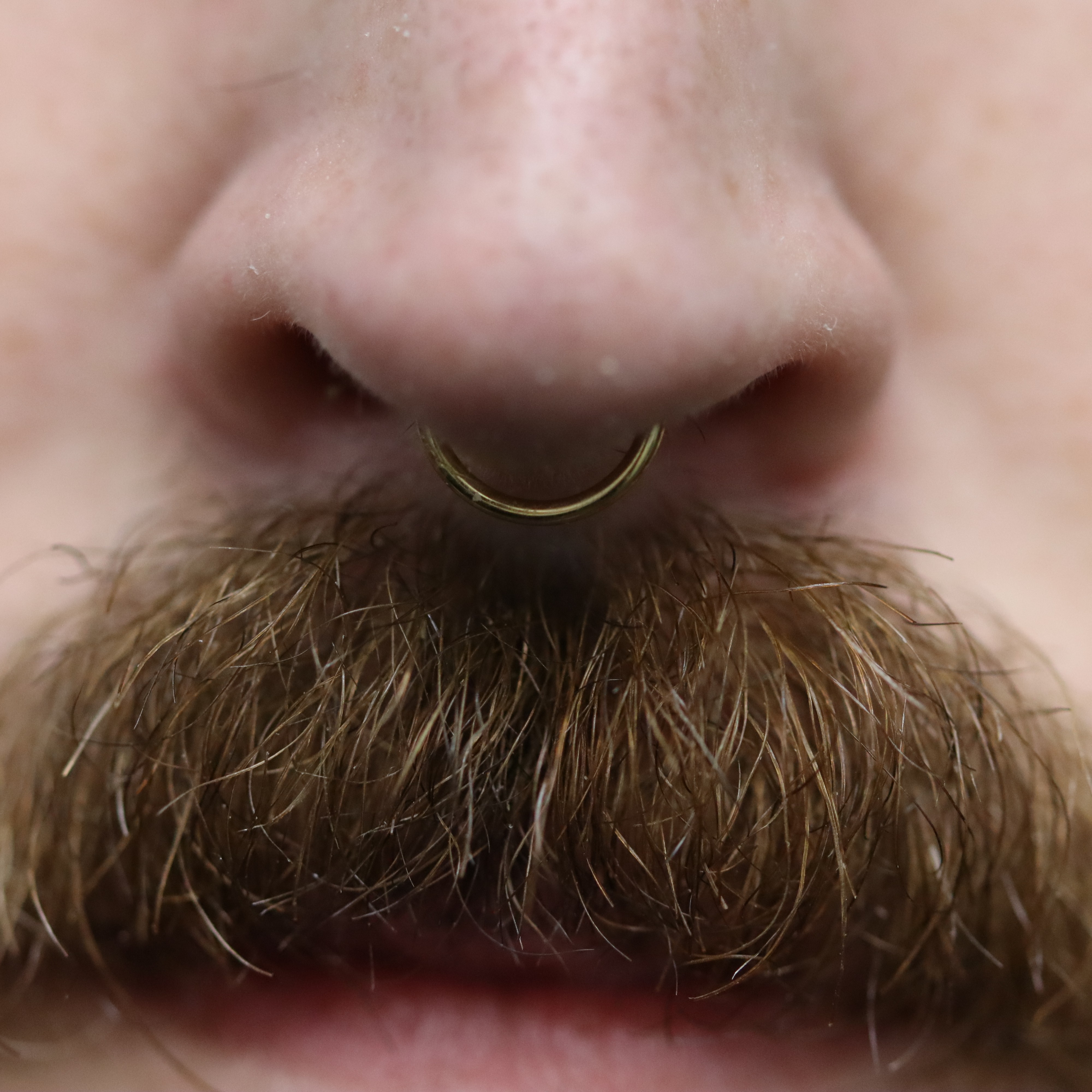 Septum piercing with 18k yellow gold seam ring by Ixus Fine Jewellery